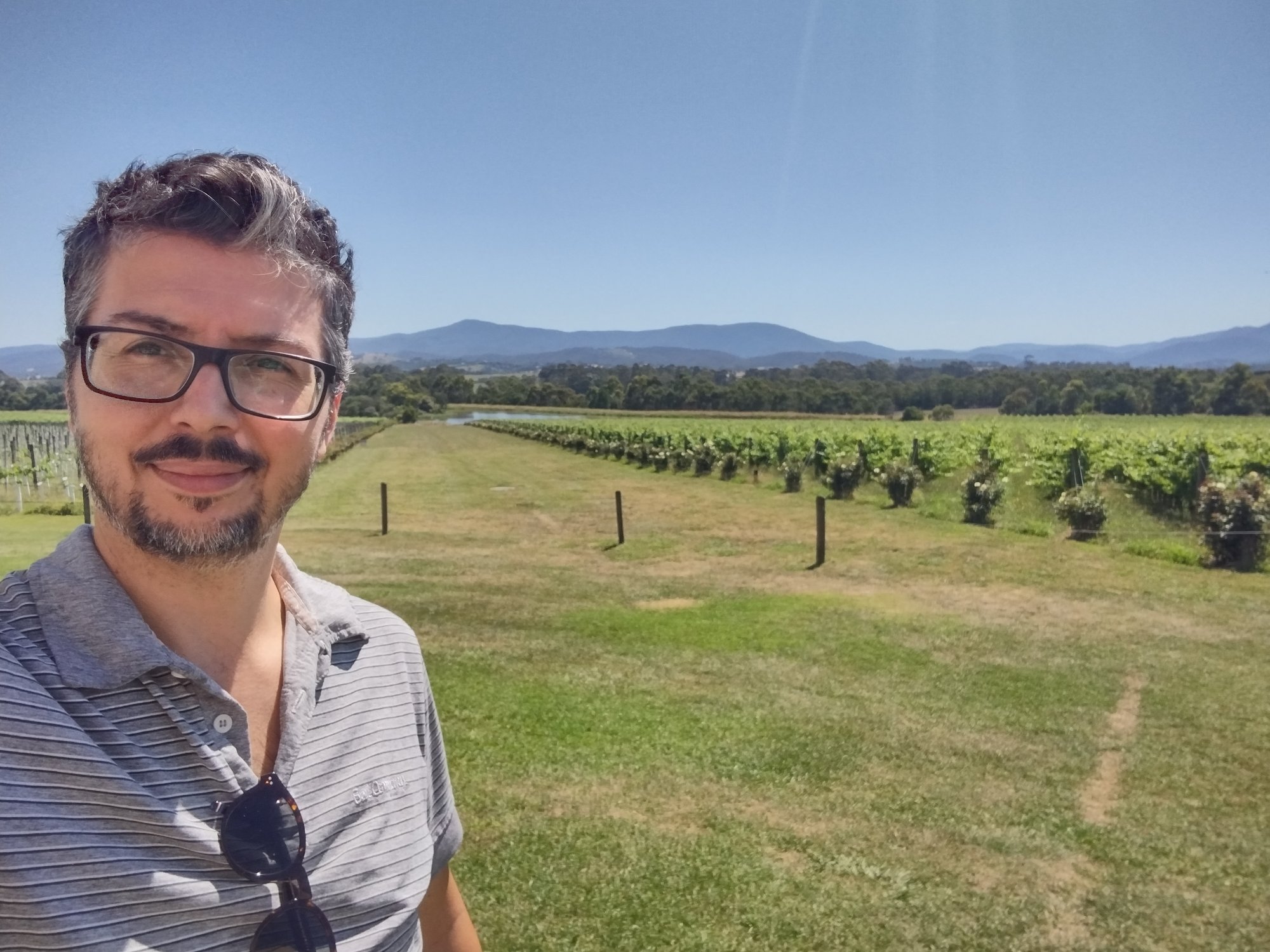 Davide at the Yarra Valley vineyard